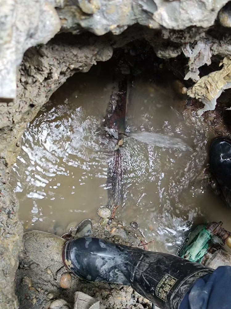 勐海绿化水管漏水检测维修服务
